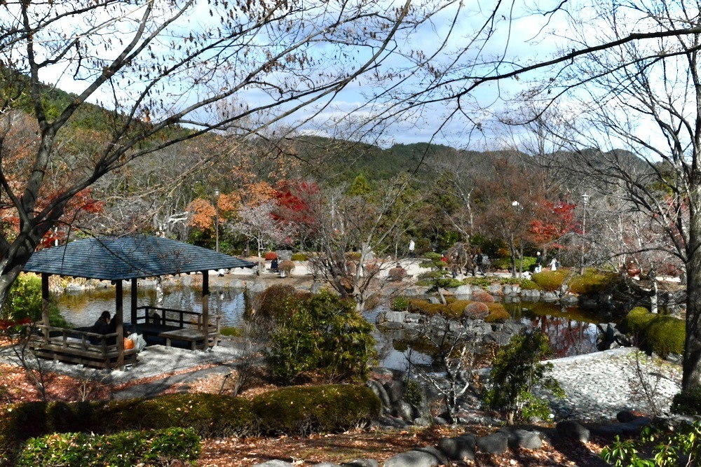 1802 紅葉と冬桜 2 1 群馬県藤岡市桜山公園 風が吹いている 516