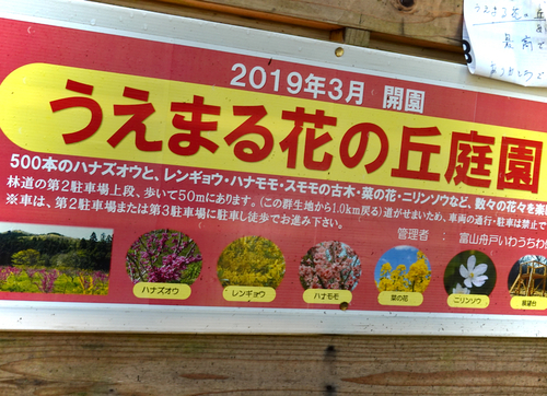 ソニー (73).jpeg
