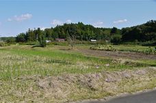 田舎風景.jpg