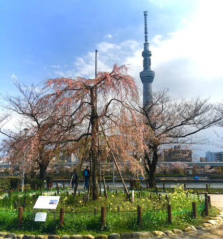 IMG_4907.jpeg