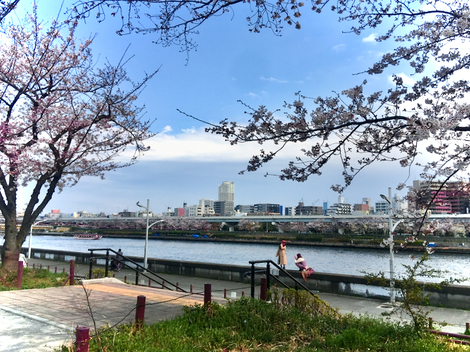 IMG_4914.jpeg