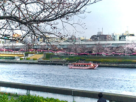 IMG_4915.jpeg