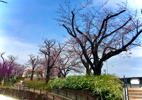 IMG_4917.jpeg