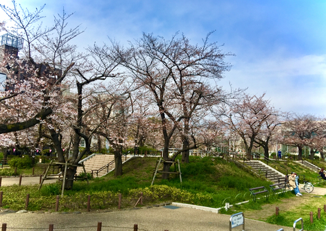 IMG_4920.jpeg
