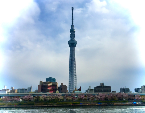 IMG_4921.jpeg