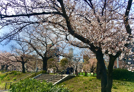 IMG_4925.jpeg